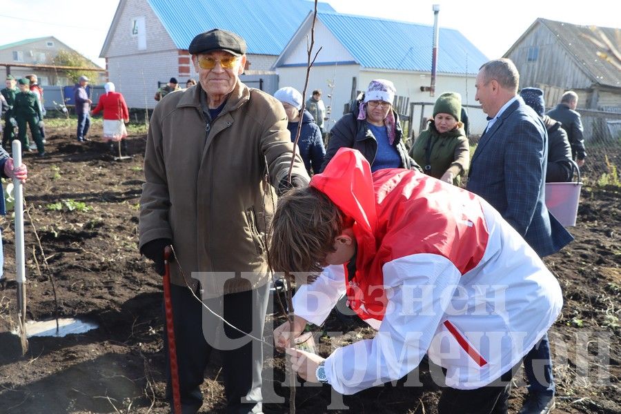 Яңа Элмәледәге ак бакчада 99 төп алмагач үсентесе утырттылар (ФОТОРЕПОРТАЖ)