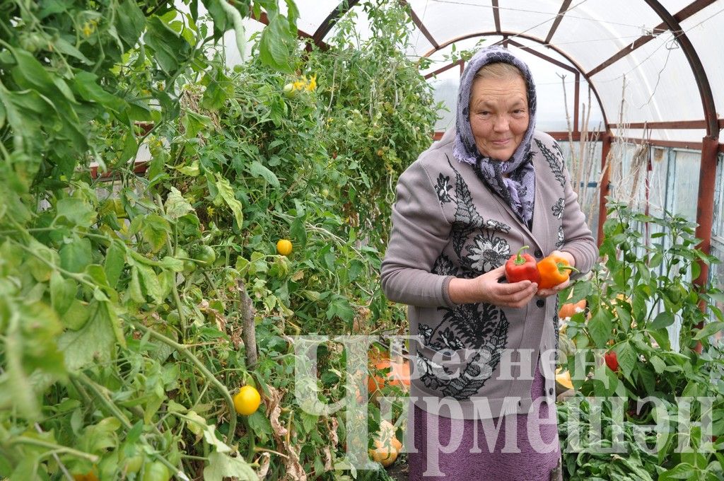 Объективта - Лагерка авылы уңганнары (ФОТОРЕПОРТАЖ)