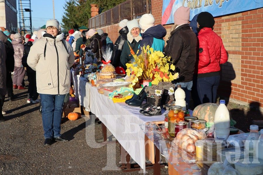 Чирмешән балалар бакчаларының игелек ярминкәсе үтте (ФОТОРЕПОРТАЖ)