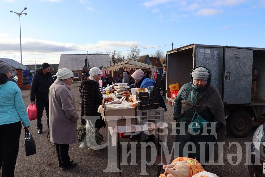 Чирмешән балалар бакчаларының игелек ярминкәсе үтте (ФОТОРЕПОРТАЖ)