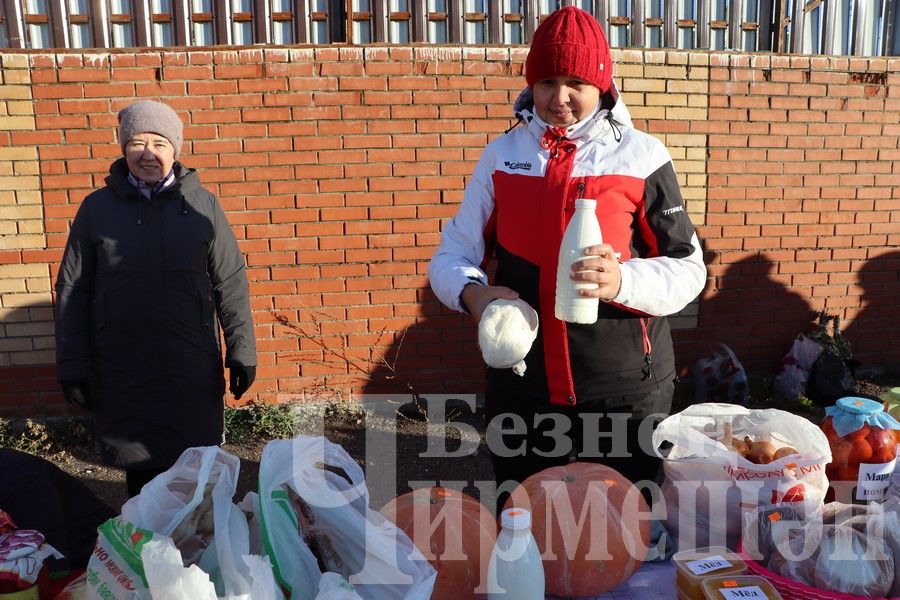 Чирмешән балалар бакчаларының игелек ярминкәсе үтте (ФОТОРЕПОРТАЖ)