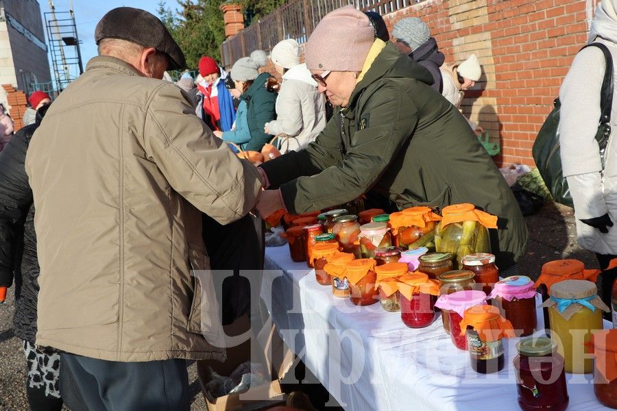 Чирмешән балалар бакчаларының игелек ярминкәсе үтте (ФОТОРЕПОРТАЖ)