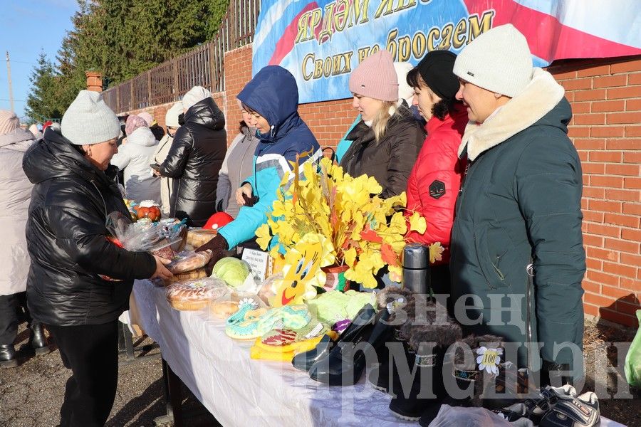 Чирмешән балалар бакчаларының игелек ярминкәсе үтте (ФОТОРЕПОРТАЖ)