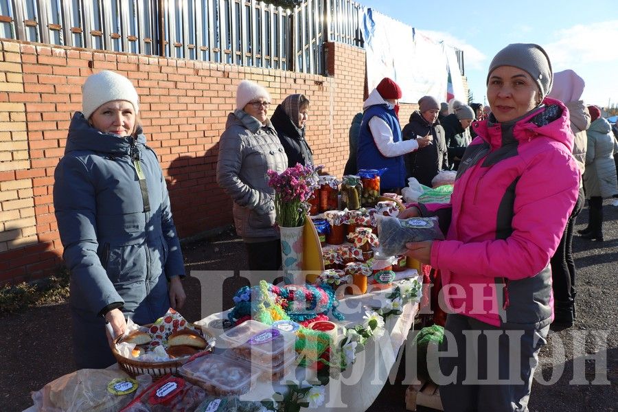 Чирмешән балалар бакчаларының игелек ярминкәсе үтте (ФОТОРЕПОРТАЖ)