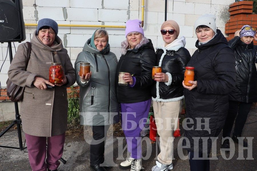 Чирмешән балалар бакчаларының игелек ярминкәсе үтте (ФОТОРЕПОРТАЖ)