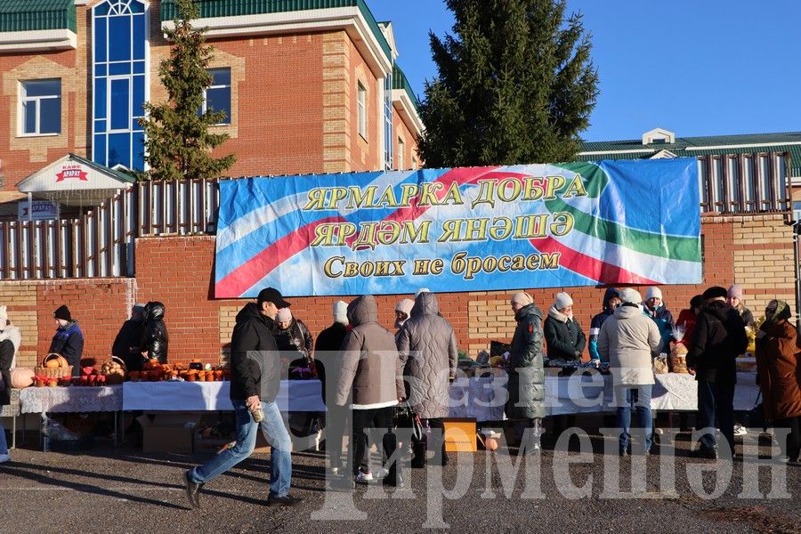 Детские сады Черемшаского района приняли участие в Ярмарке добра (ФОТОРЕПОРТАЖ)