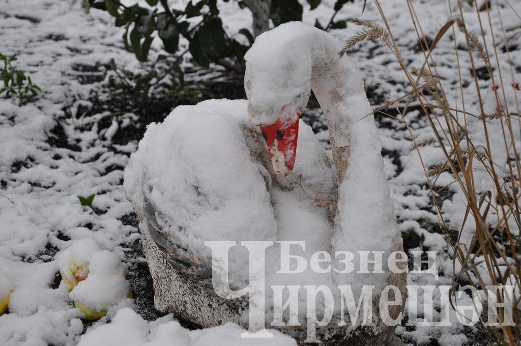 В Черемшане выпал первый снег (ФОТОРЕПОРТАЖ)