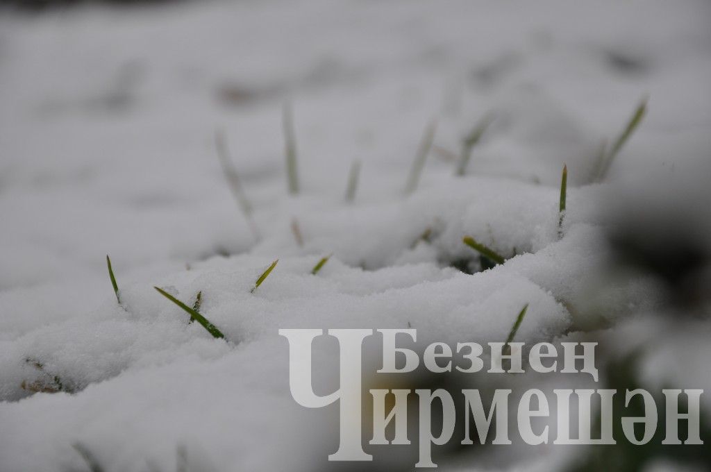 В Черемшане выпал первый снег (ФОТОРЕПОРТАЖ)