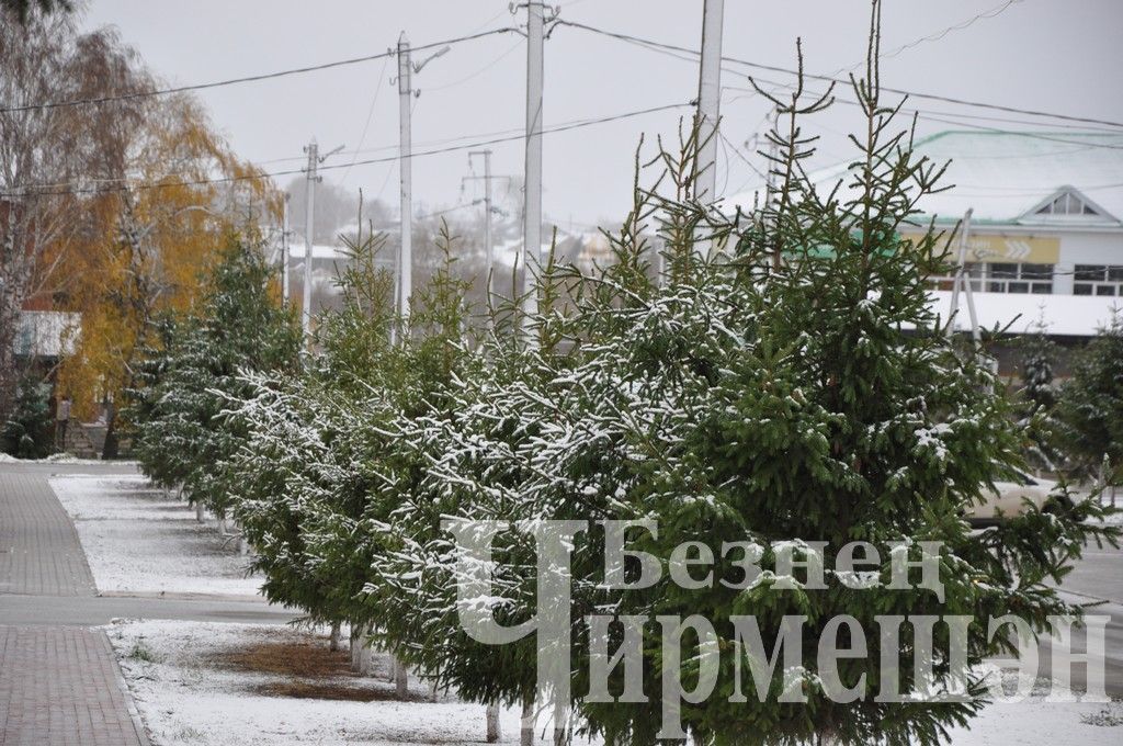 В Черемшане выпал первый снег (ФОТОРЕПОРТАЖ)