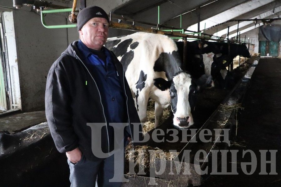 В селах Ивашкино, Карамышево, Аккиреево прошел семинар по сельскому хозяйству (ФОТОРЕПОРТАЖ)
