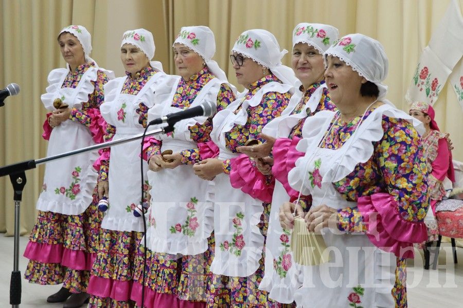 В Доме культуры села Верхняя Каменка  после ремонта прошел первый концерт  (ФОТОРЕПОРТАЖ)