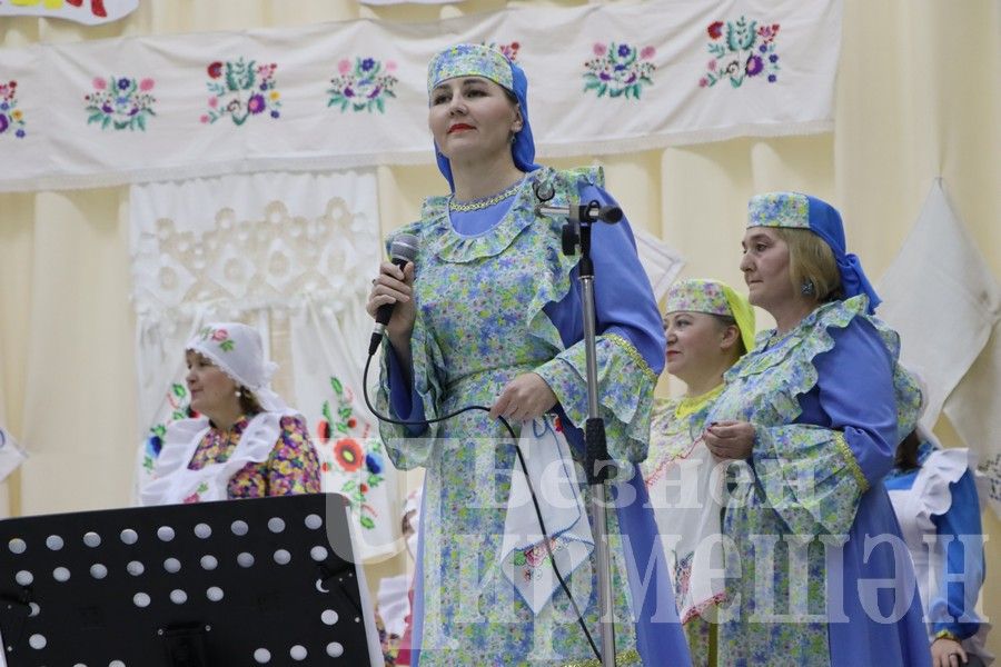 В Доме культуры села Верхняя Каменка  после ремонта прошел первый концерт  (ФОТОРЕПОРТАЖ)