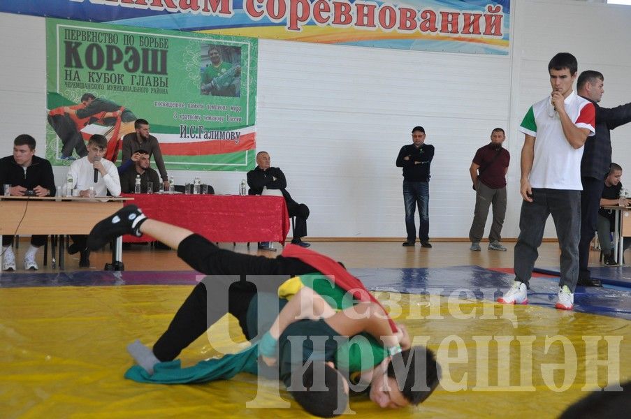 В Черемшане прошло первенство по борьбе памяти Ильяса Галимова (ФОТОРЕПОРТАЖ)