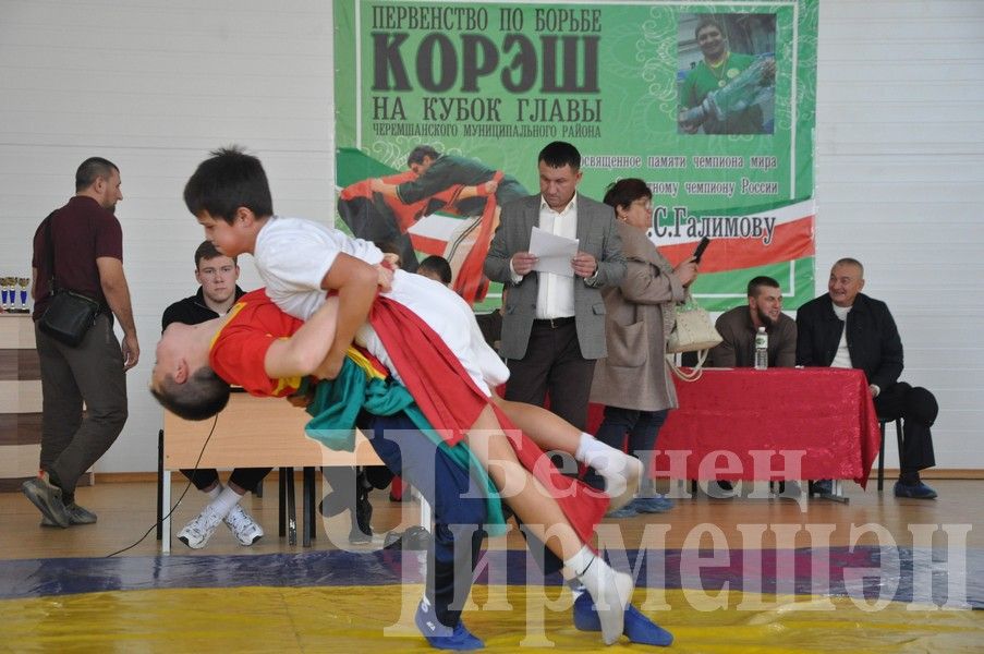 В Черемшане прошло первенство по борьбе памяти Ильяса Галимова (ФОТОРЕПОРТАЖ)