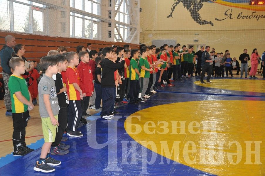 В Черемшане прошло первенство по борьбе памяти Ильяса Галимова (ФОТОРЕПОРТАЖ)