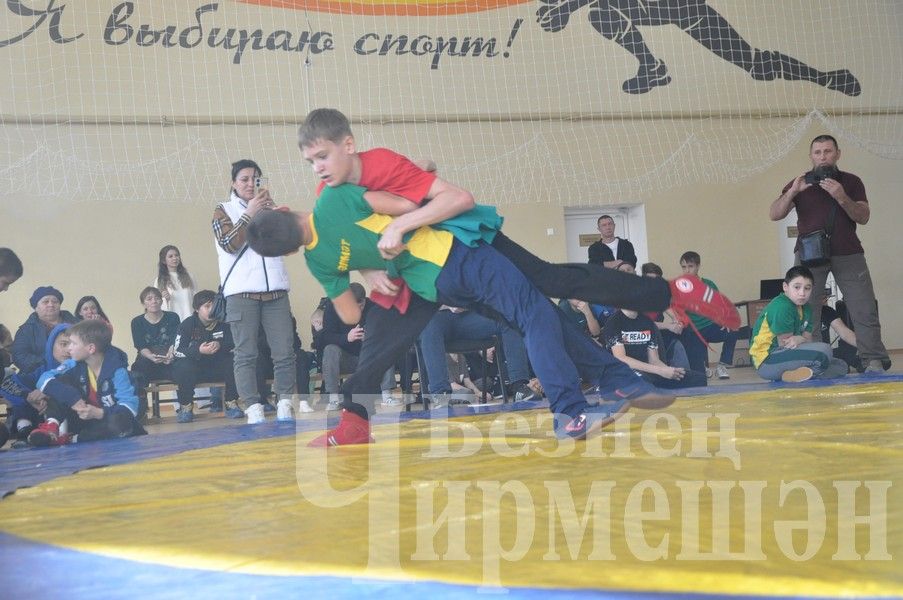 В Черемшане прошло первенство по борьбе памяти Ильяса Галимова (ФОТОРЕПОРТАЖ)