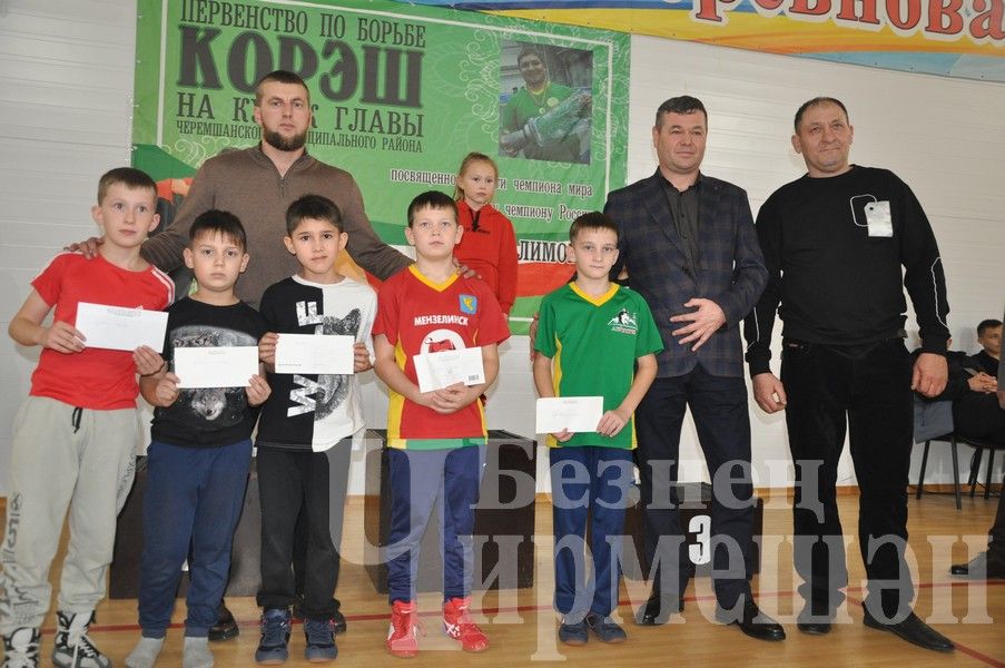 В Черемшане прошло первенство по борьбе памяти Ильяса Галимова (ФОТОРЕПОРТАЖ)