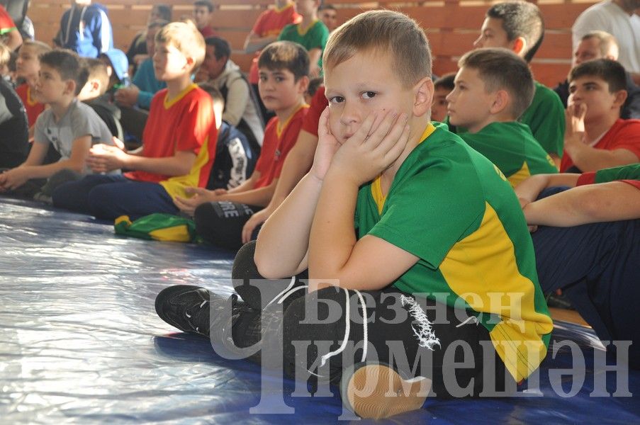 В Черемшане прошло первенство по борьбе памяти Ильяса Галимова (ФОТОРЕПОРТАЖ)