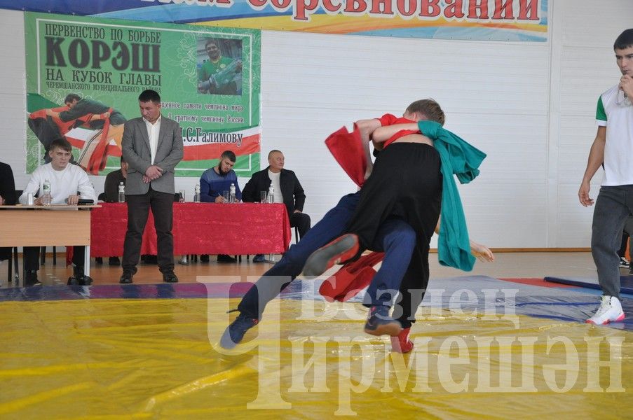 В Черемшане прошло первенство по борьбе памяти Ильяса Галимова (ФОТОРЕПОРТАЖ)