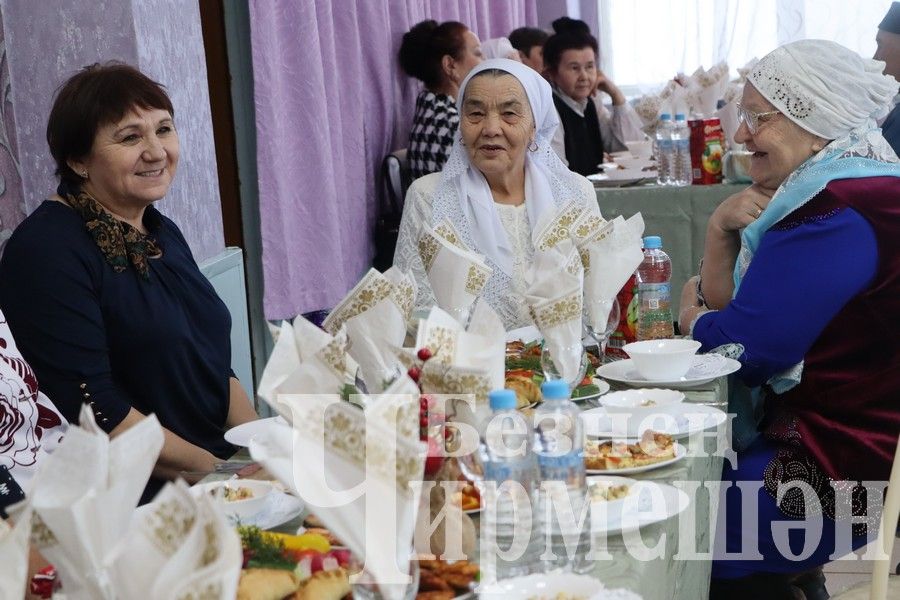 Ветераны Черемшанского района на Новогоднем празднике (ФОТОРЕПОРТАЖ)