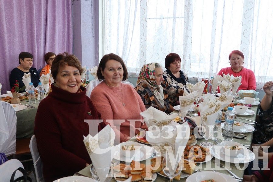 Ветераны Черемшанского района на Новогоднем празднике (ФОТОРЕПОРТАЖ)