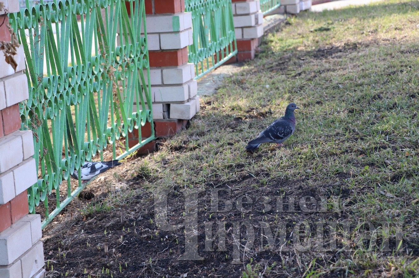 В редакции районной газеты - очередной субботник (ФОТОРЕПОРТАЖ)