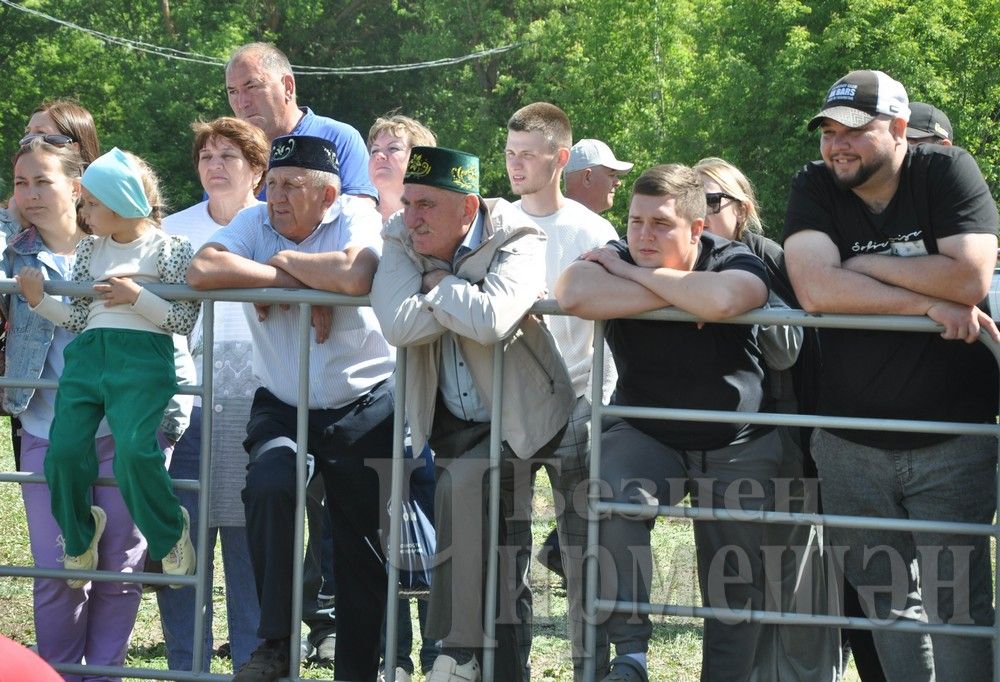 Сабантуй в Черемшане: национальные игры и борьба