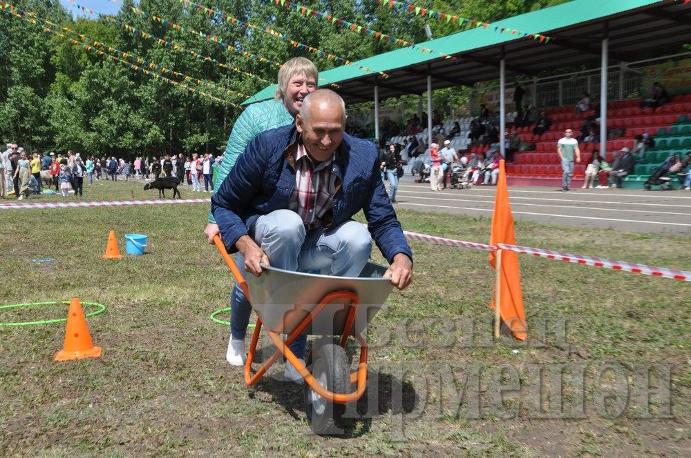 Сабантуй в Черемшане: национальные игры и борьба