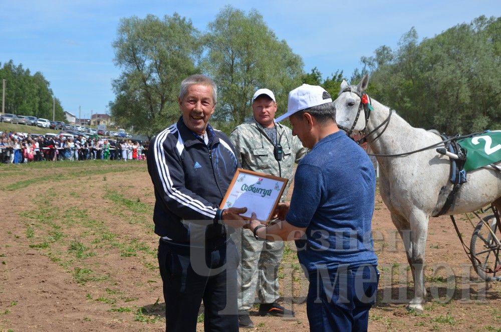 Чирмешән Сабан туе: ат чабышлары