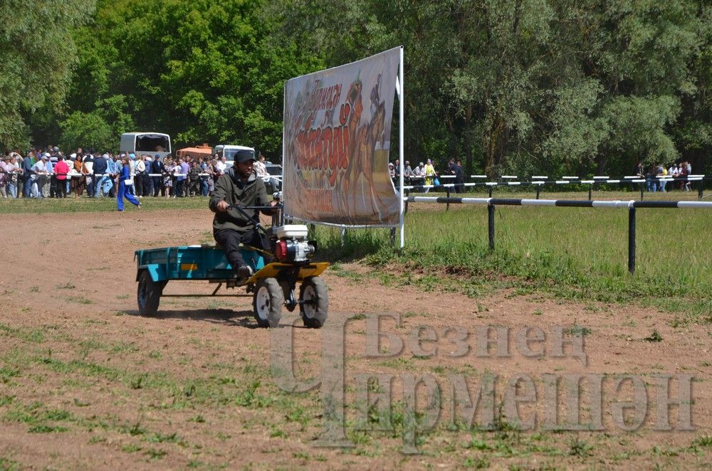 Чирмешән Сабан туе: ат чабышлары