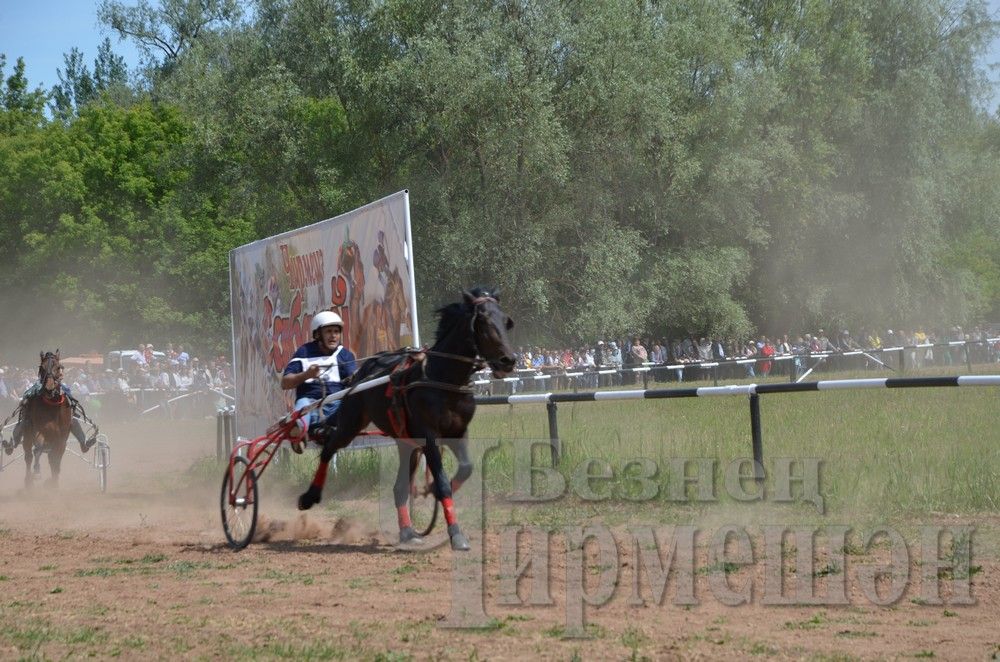 Чирмешән Сабан туе: ат чабышлары