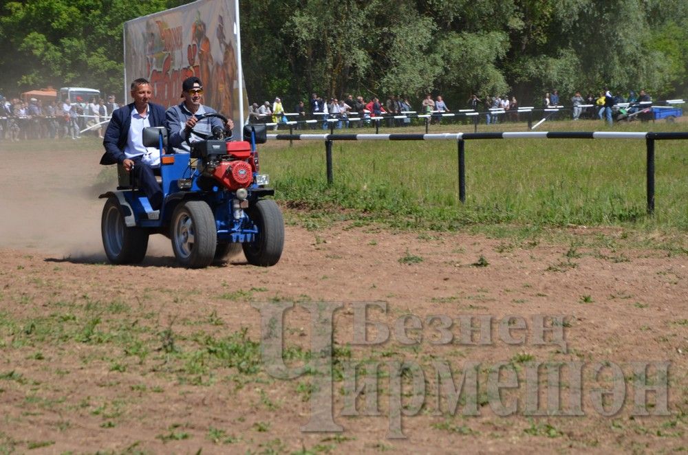 Чирмешән Сабан туе: ат чабышлары