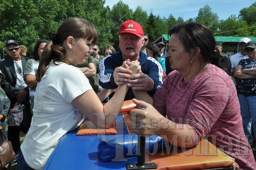 Сабантуй в Черемшане: национальные игры и борьба