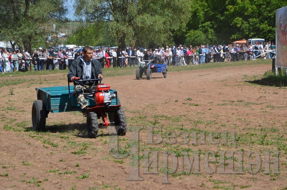 Чирмешән Сабан туе: ат чабышлары