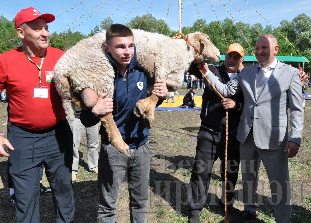 Чирмешән Сабан туе: уеннар һәм көрәш мизгелләре