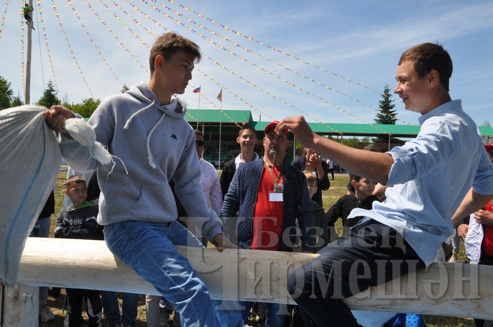 Сабантуй в Черемшане: национальные игры и борьба