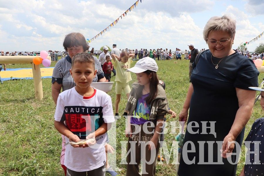 На Сабантуе в Верхней Каменке были и скачки (ФОТОРЕПОРТАЖ)