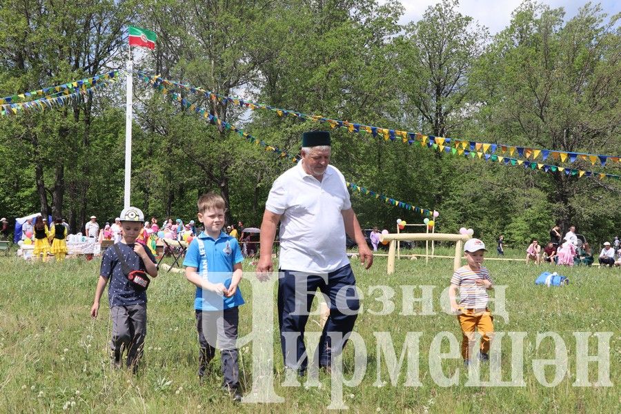 На Сабантуе в Верхней Каменке были и скачки (ФОТОРЕПОРТАЖ)