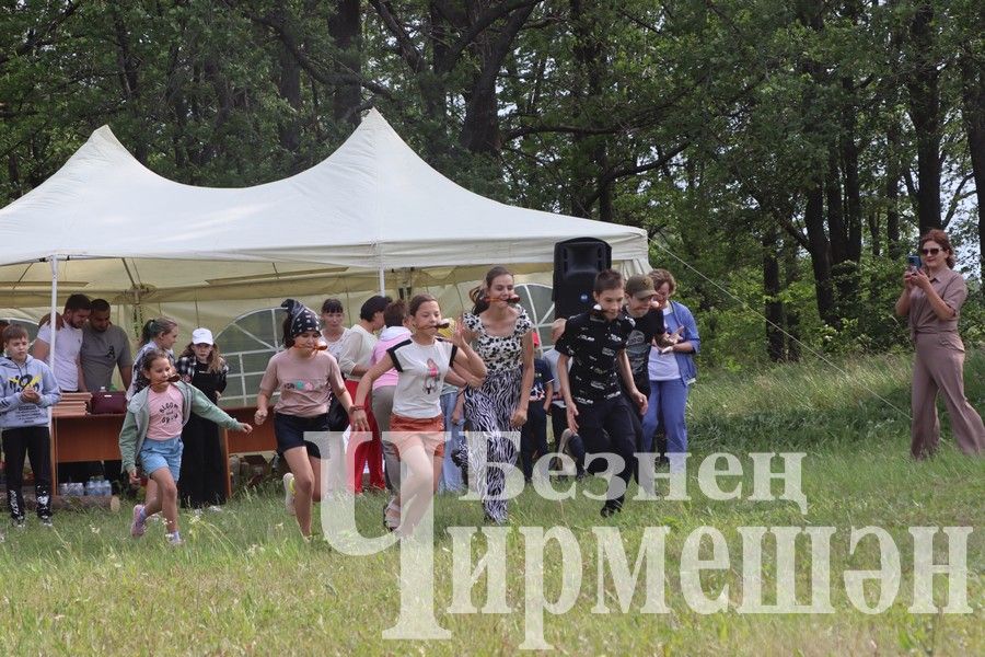 На Сабантуе в Подлесном Утямыше чествовали и ветеранов (ФОТОРЕПОРТАЖ)