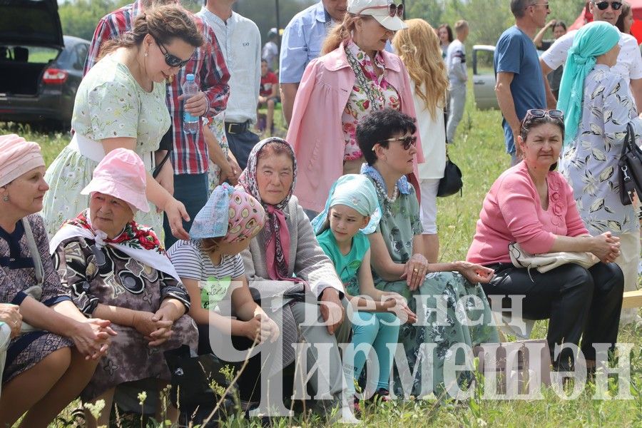 На Сабантуе в Верхней Каменке были и скачки (ФОТОРЕПОРТАЖ)