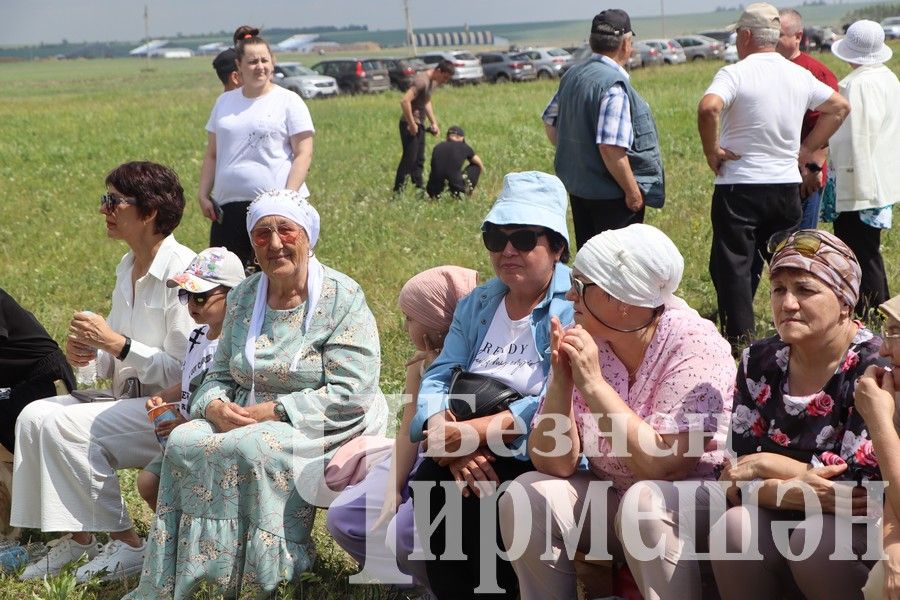 На Сабантуе в Верхней Каменке были и скачки (ФОТОРЕПОРТАЖ)