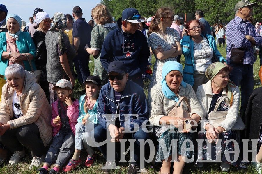 На Сабантуе в Подлесном Утямыше чествовали и ветеранов (ФОТОРЕПОРТАЖ)