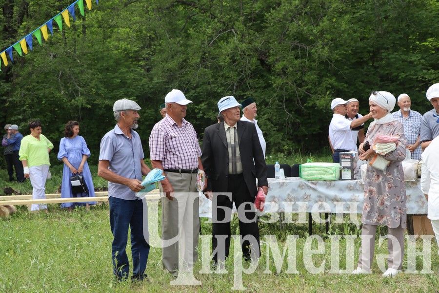 На Сабантуе в Верхней Каменке были и скачки (ФОТОРЕПОРТАЖ)