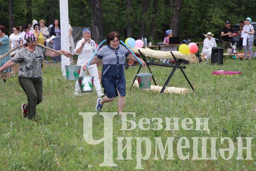 На Сабантуе в Верхней Каменке были и скачки (ФОТОРЕПОРТАЖ)