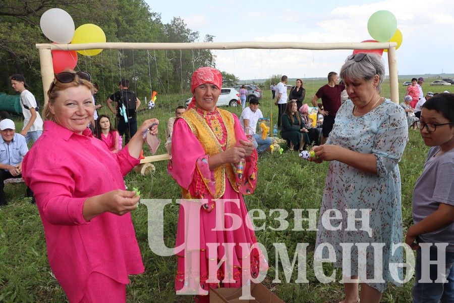 На Сабантуе в Верхней Каменке были и скачки (ФОТОРЕПОРТАЖ)