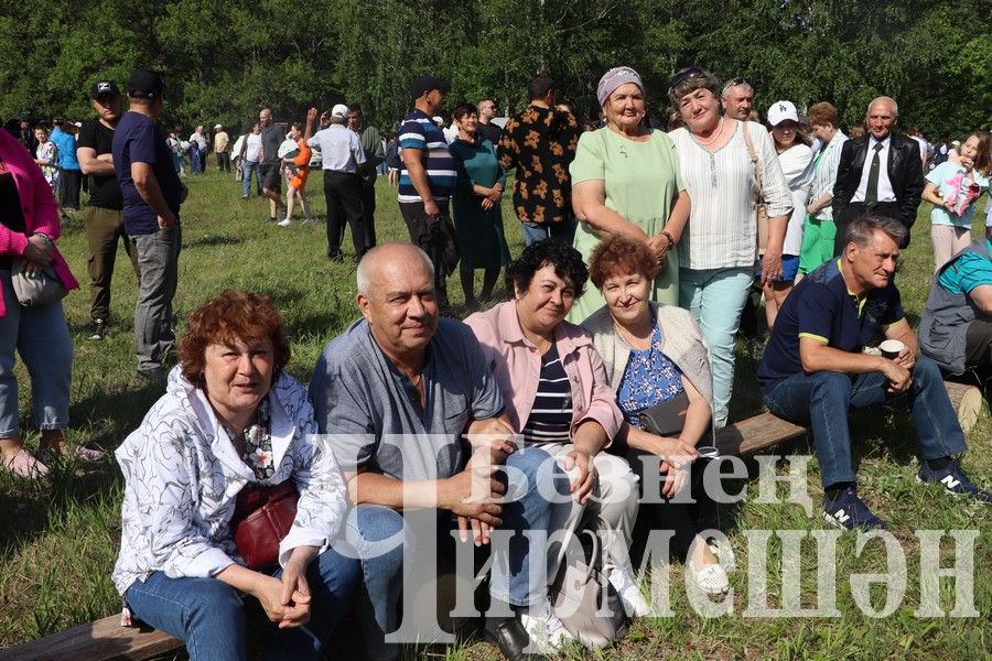 На Сабантуе в Подлесном Утямыше чествовали и ветеранов (ФОТОРЕПОРТАЖ)