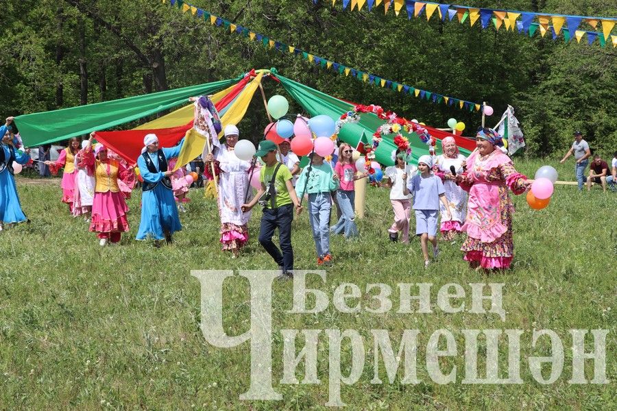 На Сабантуе в Верхней Каменке были и скачки (ФОТОРЕПОРТАЖ)