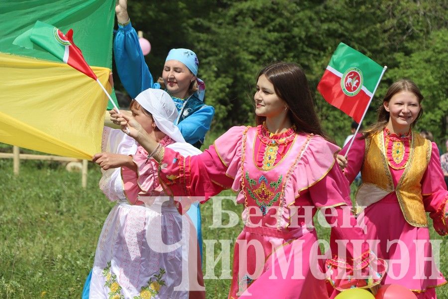 На Сабантуе в Верхней Каменке были и скачки (ФОТОРЕПОРТАЖ)