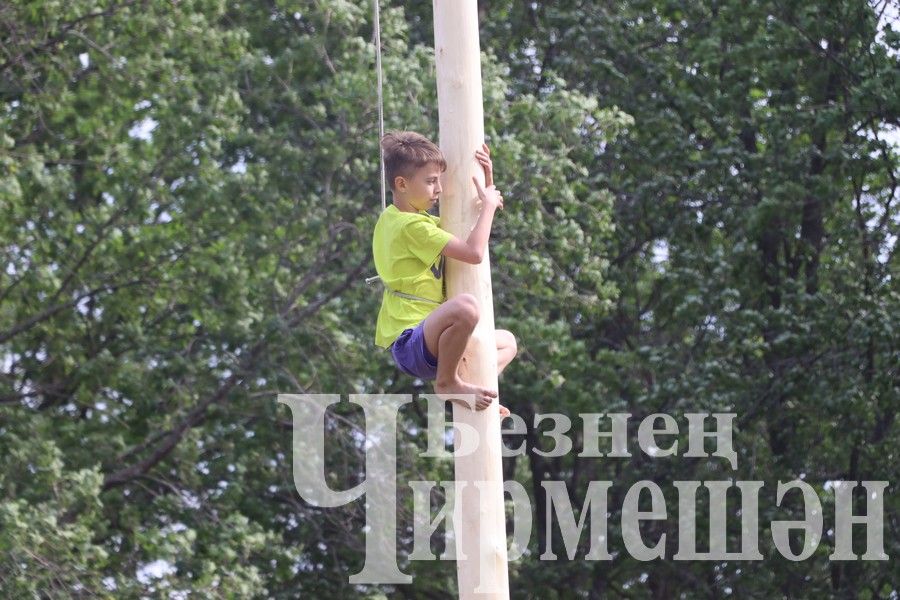 На Сабантуе в Подлесном Утямыше чествовали и ветеранов (ФОТОРЕПОРТАЖ)