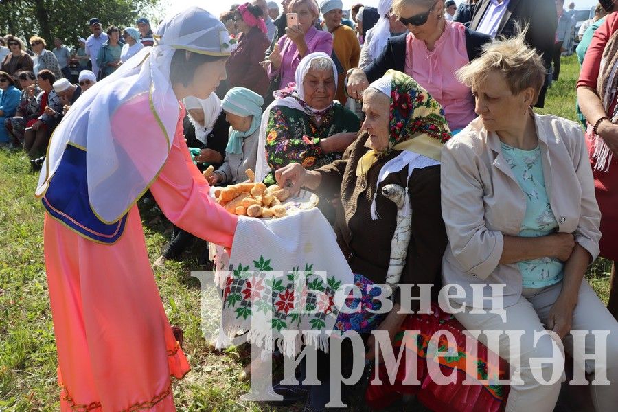 На Сабантуе в Подлесном Утямыше чествовали и ветеранов (ФОТОРЕПОРТАЖ)